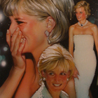 Diana - Princess of Wales